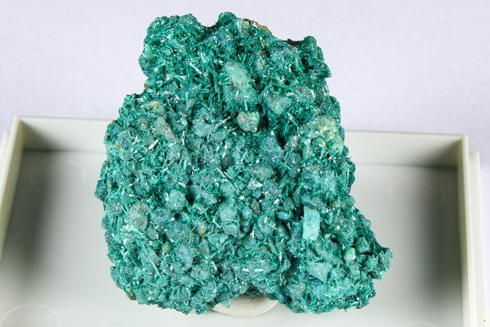 Beautiful Blue-Green Botallackite Crystal Cluster - England #380224
